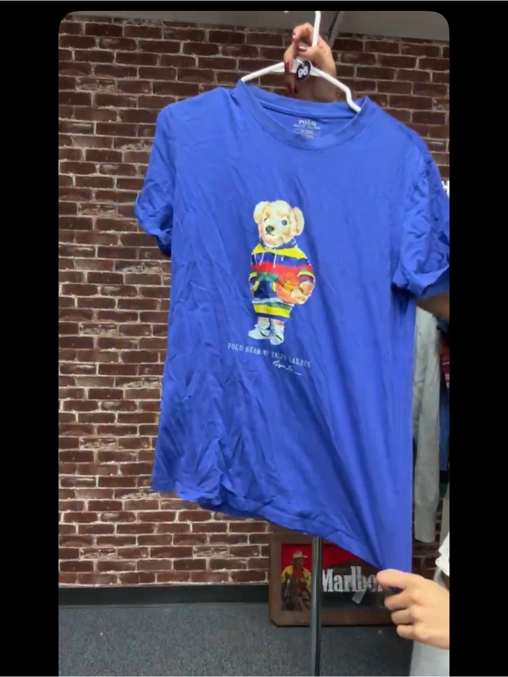 Polo by Ralph Lauren Royal Blue Bear Graphic Tee